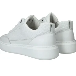 Fashion Cycleur DLX Buzz Sneakers Heren Wit