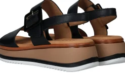 Discount Gabor Sandalen Dames Zwart