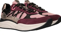 Online LOFF 1881 Sneakers Dames Paars