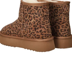 Discount Shoecolate Boots Dames Cognac